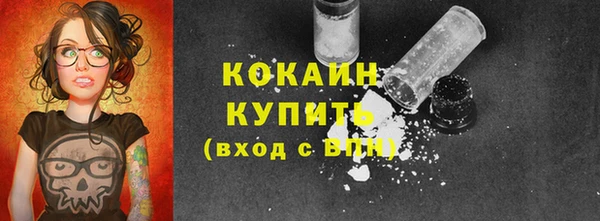 прущий лед Алзамай